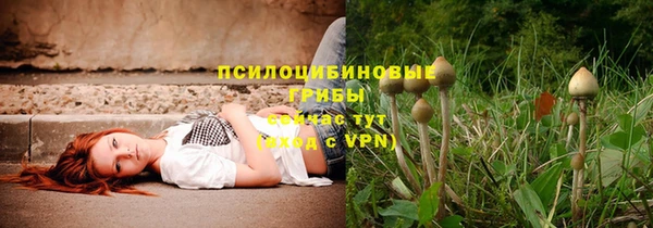 марки nbome Богородицк