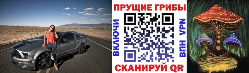 Псилоцибиновые грибы ЛСД  наркошоп  Новочебоксарск 