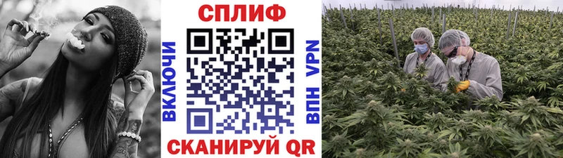 Каннабис планчик  Новочебоксарск 